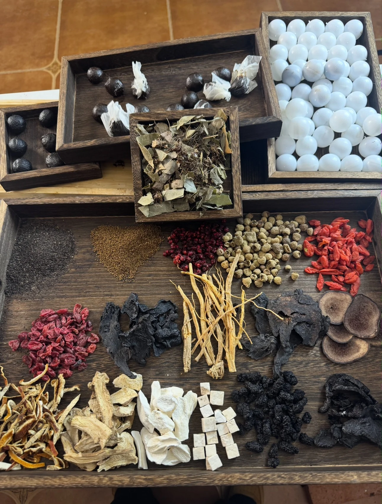 Selection of traditional herbs